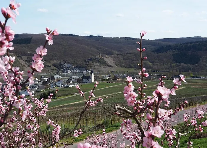 Gaestehaus Preuss