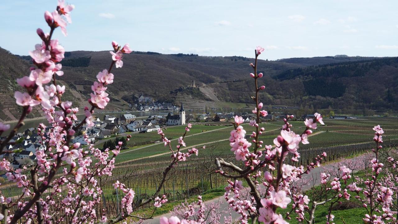 Preuss * Ellenz-Poltersdorf